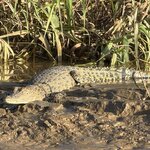 Photo taken by Edit M