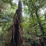 Photo taken by Edit M