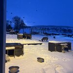 Photo taken by Amy H