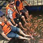 Fearless Fellas feeding the tame Pirahnas !! Well they looked like them when actual tucker pellets tossed in unexpectedly 😳😳!! | Photo taken by Vicky V