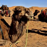 Photo taken by Bianca C