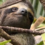 Photo taken by James B