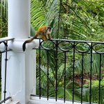 Photo taken by Tenley G