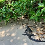 Photo taken by Katarzyna W