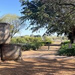 Photo taken by Janie W