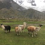 Photo taken by Gareth B