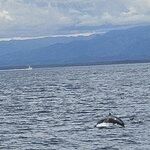 Photo taken by Mark S