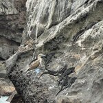 Photo taken by Gary W