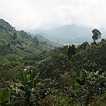 Photo taken by Janice B