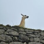 Photo taken by Jeanette C