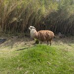 Photo taken by Shanthi V