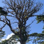 Photo taken by Luke T