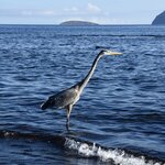 Photo taken by Joseph P