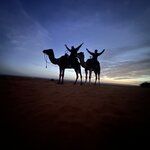 Photo taken by BARBARA A