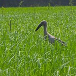 Photo taken by Brian C