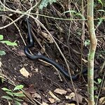 Photo taken by Donna G