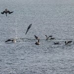 Photo taken by mindy n