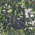 Photo taken by Touraj K