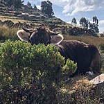 Photo taken by Brenna M