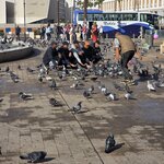 Photo taken by Mike K