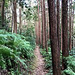 More trail | Photo taken by Joost S