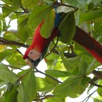 Photo taken by Kristen L