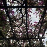 Photo taken by Wendy P