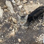 Photo taken by John N