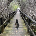 Photo taken by Kayla H