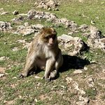 Photo taken by Lesley B