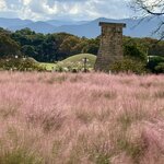 Photo taken by Annie A