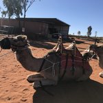 Photo taken by Alfredo H