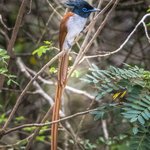 Photo taken by Graham D