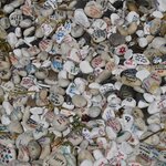 Photo taken by Linnaea M