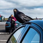 Photo taken by Peter B