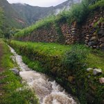 Lush and green | Photo taken by Matt M