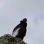 Photo taken by Gianmarco S