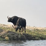 Photo taken by Janie W