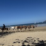 Photo taken by Julie S