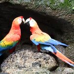 Photo taken by Patricia D