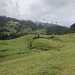 Photo taken by Janice B