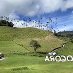 Photo taken by Thomas B