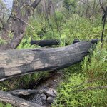 Photo taken by Julie H