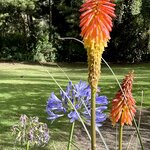 Photo taken by Mary K