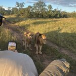 Photo taken by Crystall P