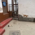 Photo taken by Kristin M