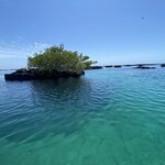 Photo taken by Nicole S