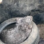 Photo taken by Susan C