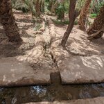 Photo taken by Beth M