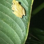 Photo taken by Joyce C